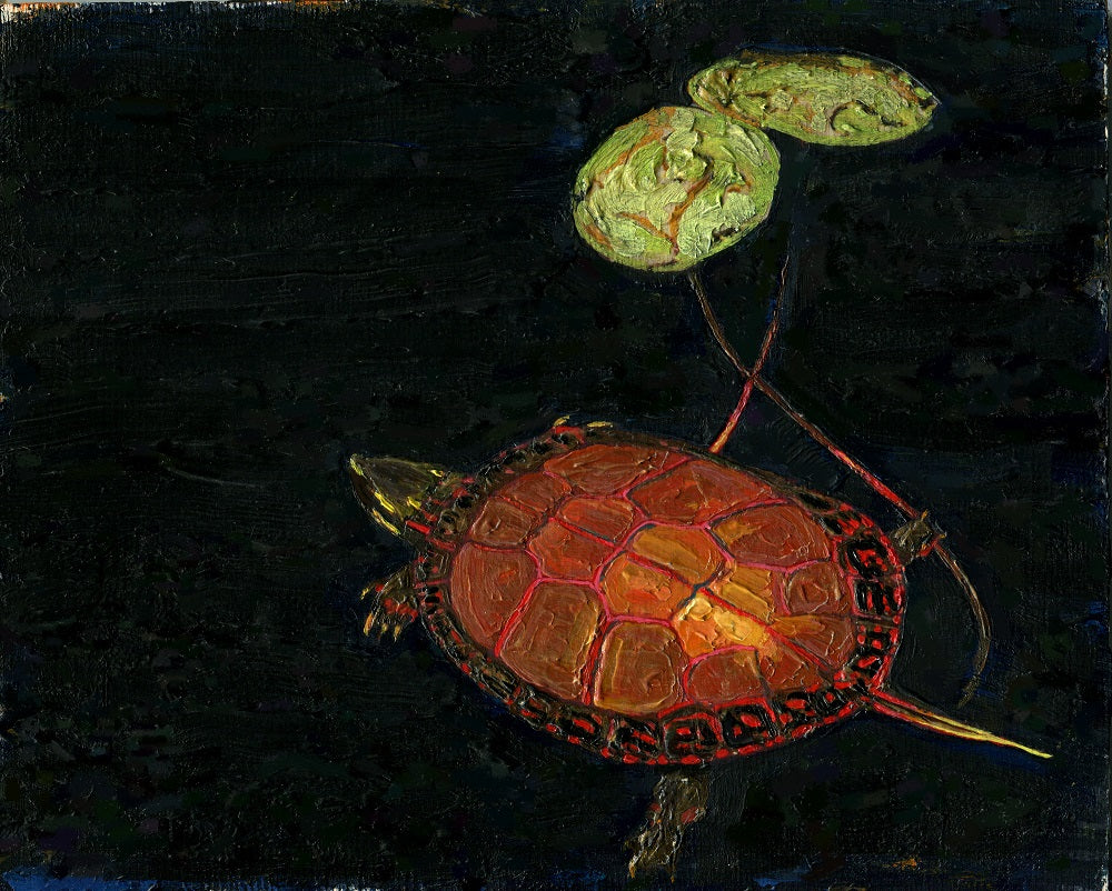 Painted Turtle, Dark Water