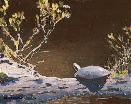 Painted Turtle and Leatherleaf