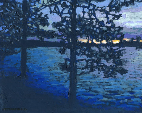 Pines, Late Evening
