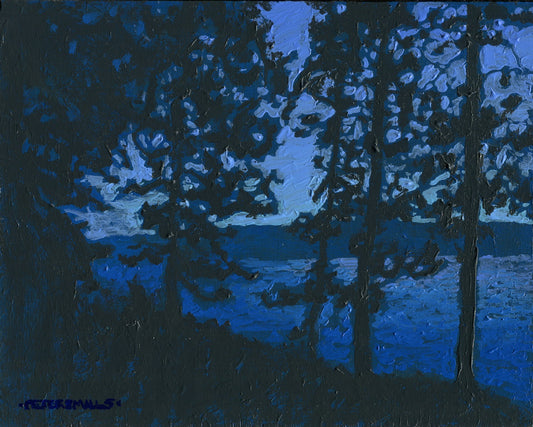 Pines at Dusk