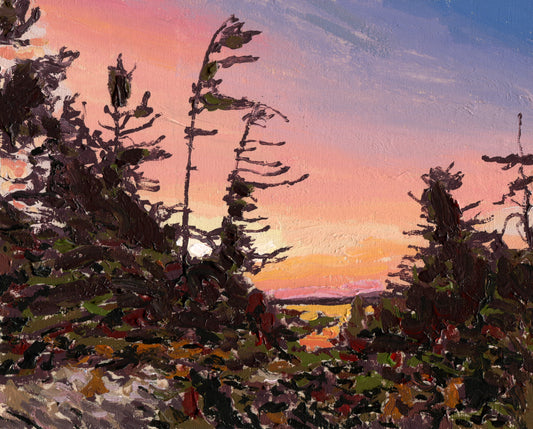 Pines in the Islands