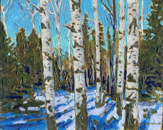 Poplars and Snow Shadows