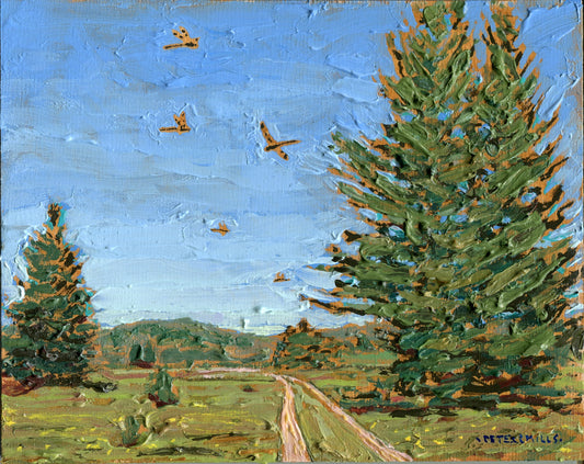 Prince Baskettails, Old Airfield