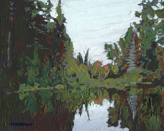 Quiet Stretch of the River