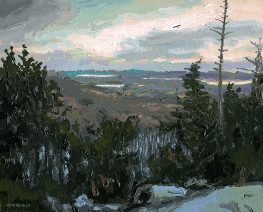 Raven and Winter Hills