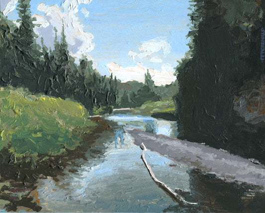 River at Summer-Low