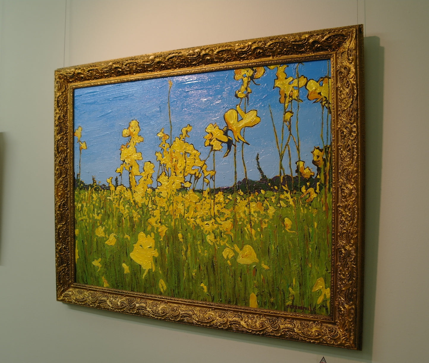 Utricularia in Bloom
