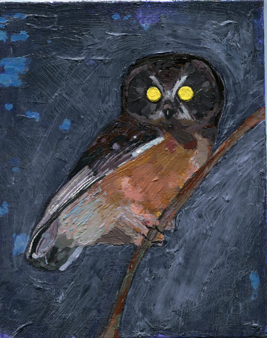 Saw-Whet Owl