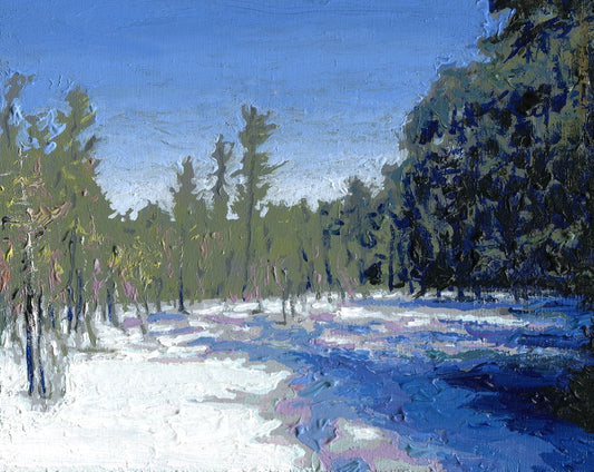 Snow Shadows at Rattlesnake Bog
