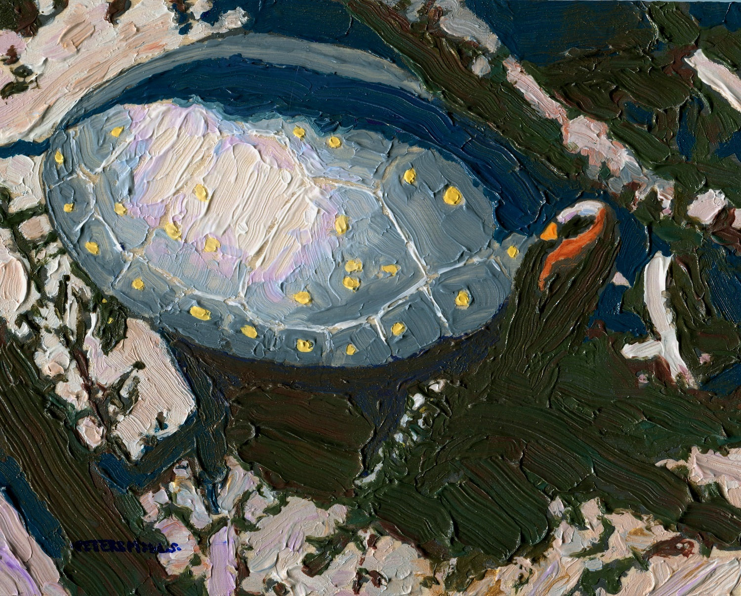 Spotted Turtle in Sun and Shadow