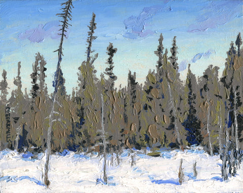 Spruce Bog in Winter