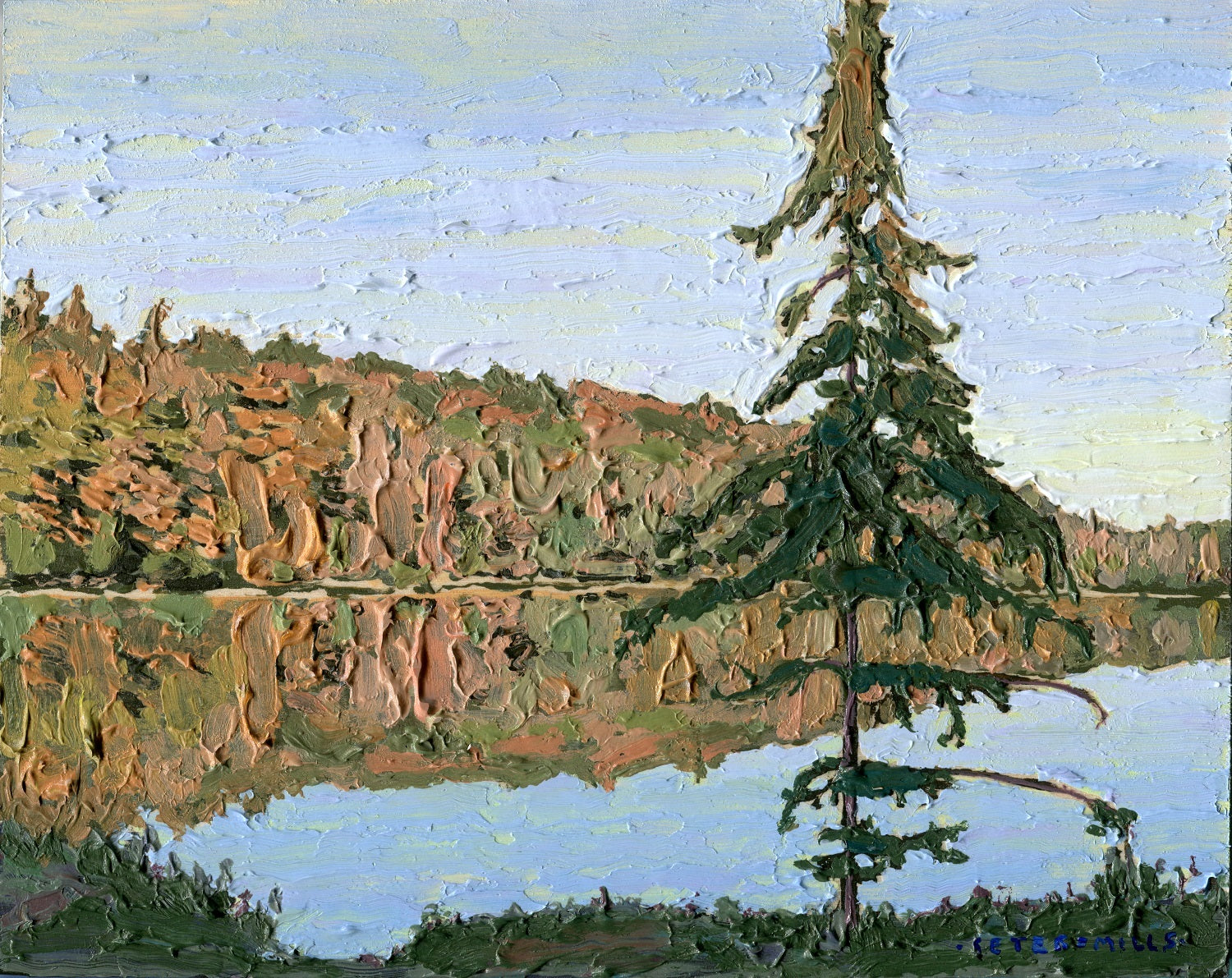 Spruce at Found Lake