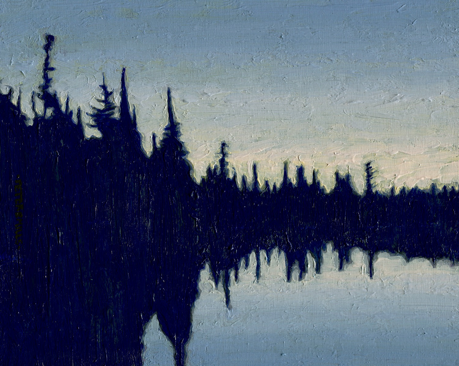 Spruces, Oxtongue River