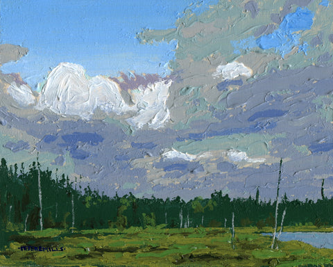 Storm Over the Bog