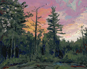 Barrens at Sunset