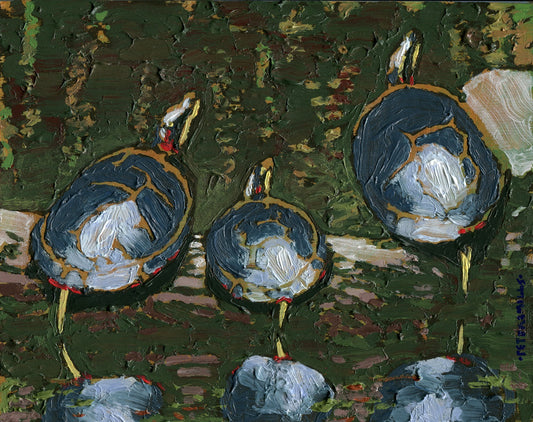 Three Painted Turtles