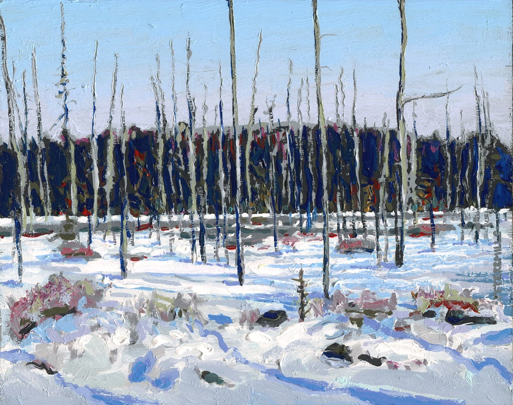 Winter at West Rose Lake