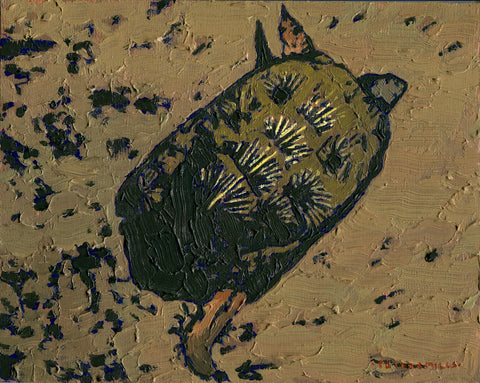 Wood Turtle Swimming over Sand