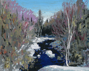 Woodland River in Winter
