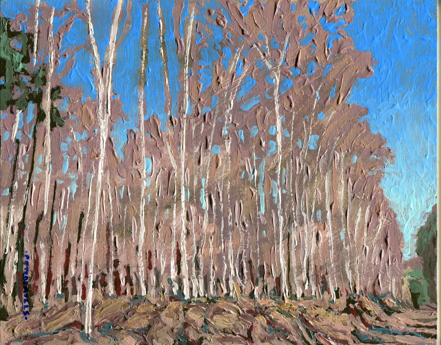 Woods Before Leaf-out