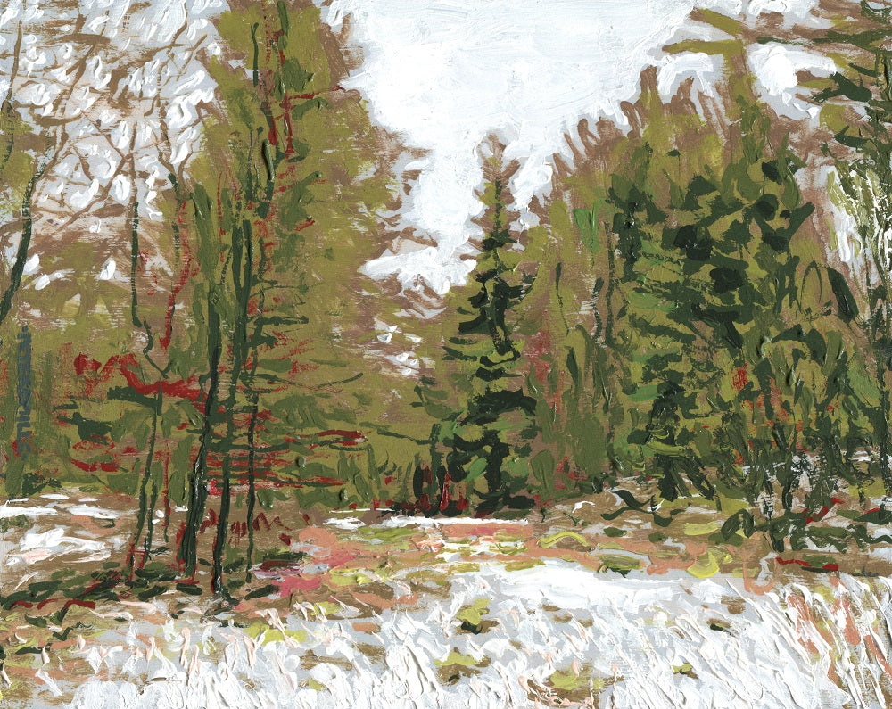 Woodwardia Fen in Winter