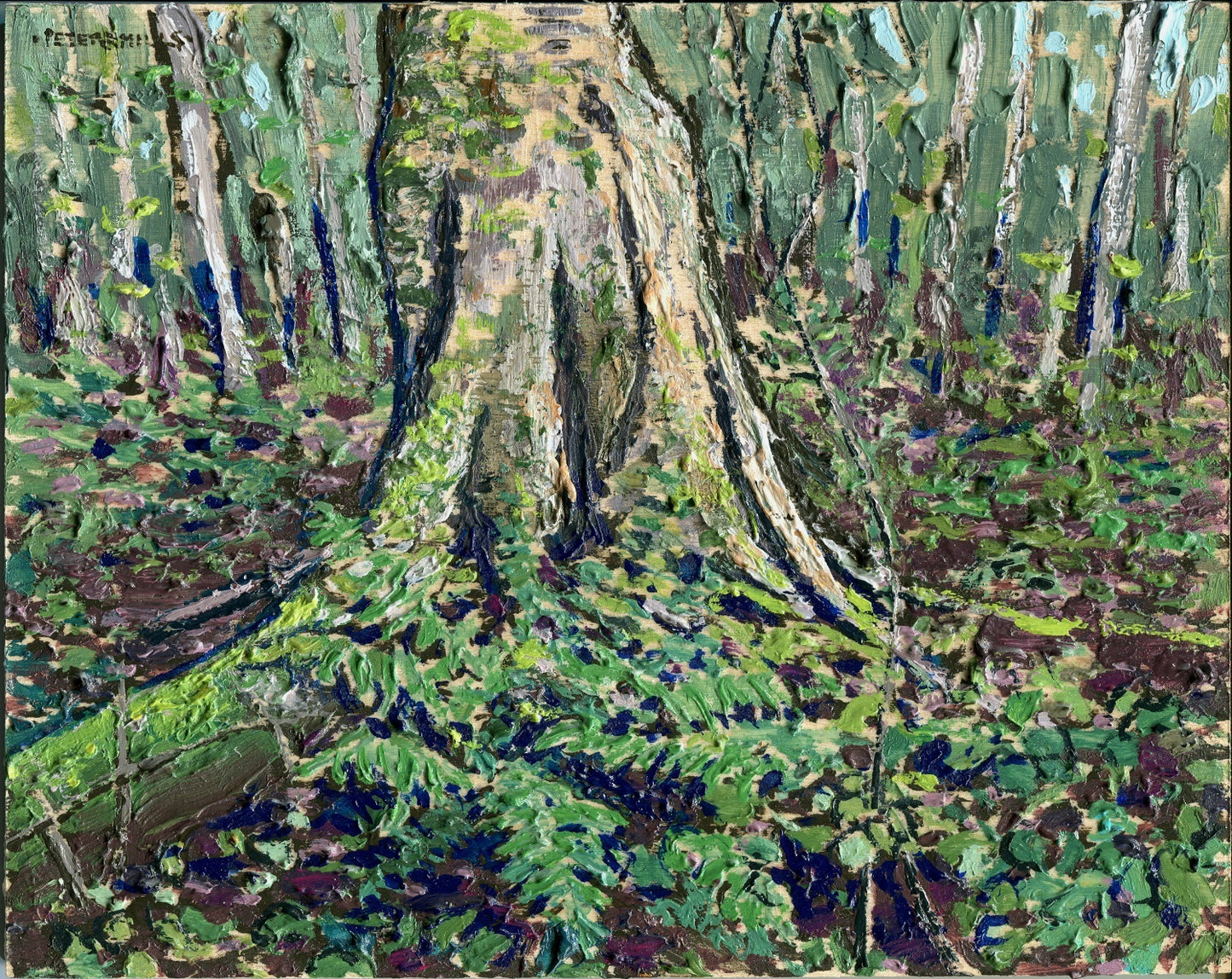 Yellow Birch Buttress