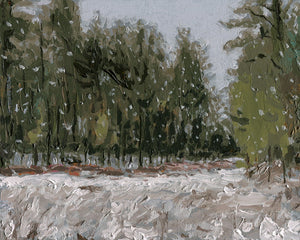 Pine-Bog in Winter
