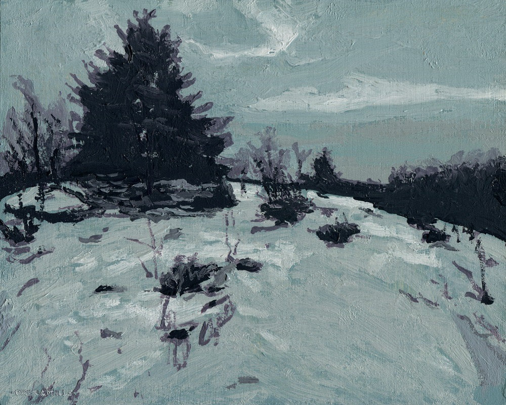 Rock Barren in Winter