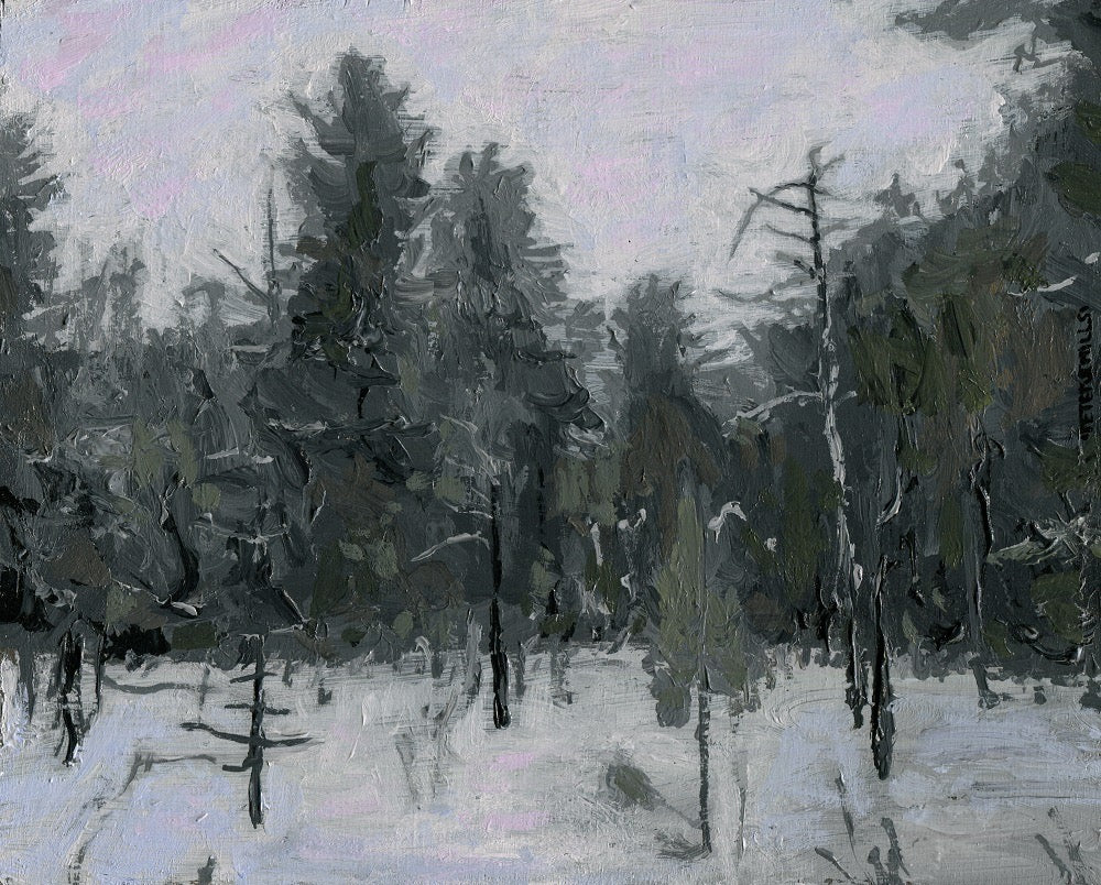 Gray Day, Pine-Bog
