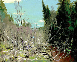 Riverbank and Alders, Spring