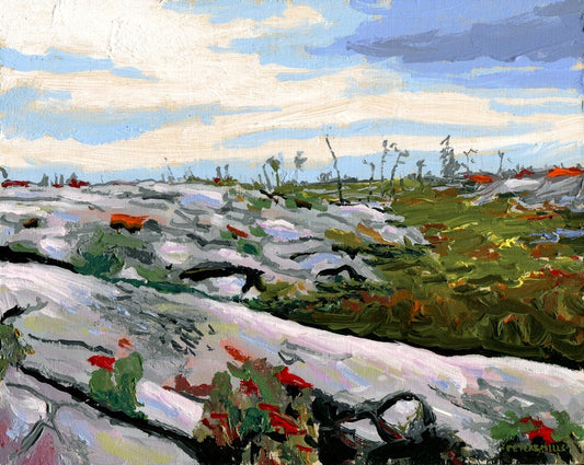 Bog and Barrens Landscape