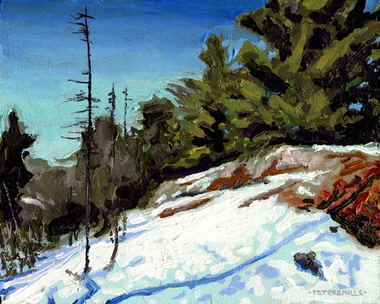 Pine Barrens at Thaw