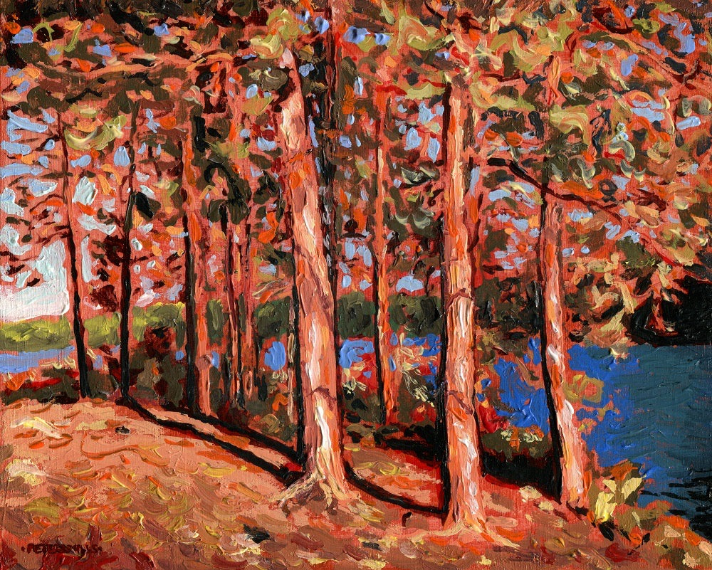 Late Afternoon Pines