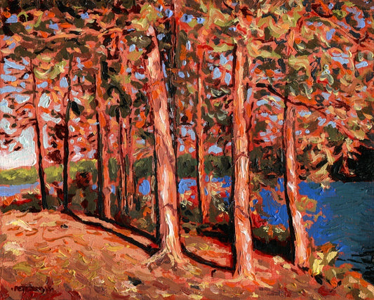 Late Afternoon Pines