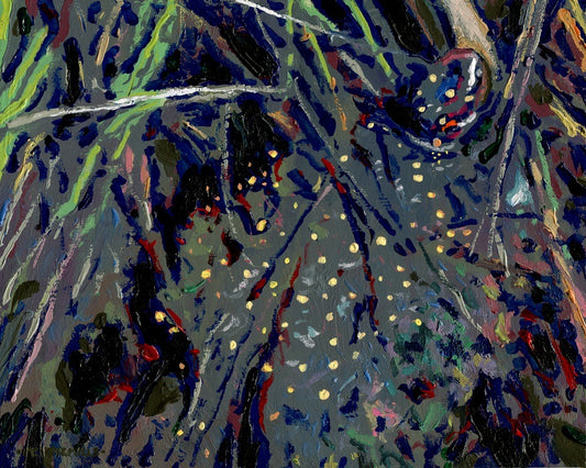 Spotted Turtle in Water and Sedge