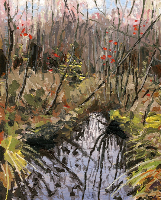 Reflections in the Thicket Swamp