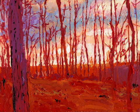 Forest in Red Light
