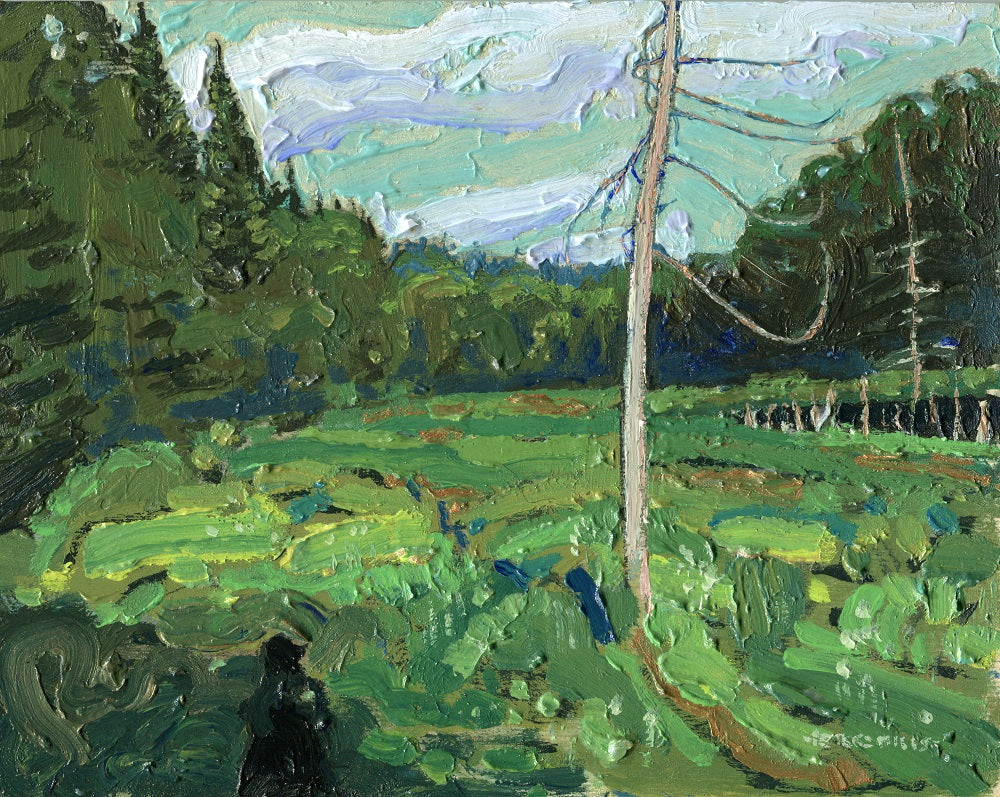 June Meadow