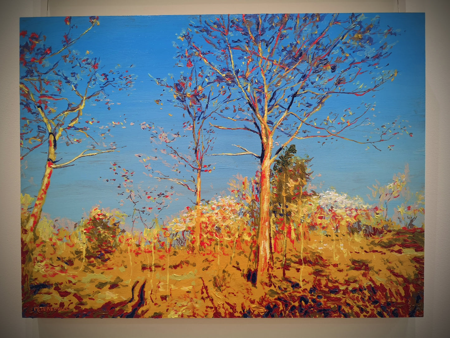 Oaks and Cherries
